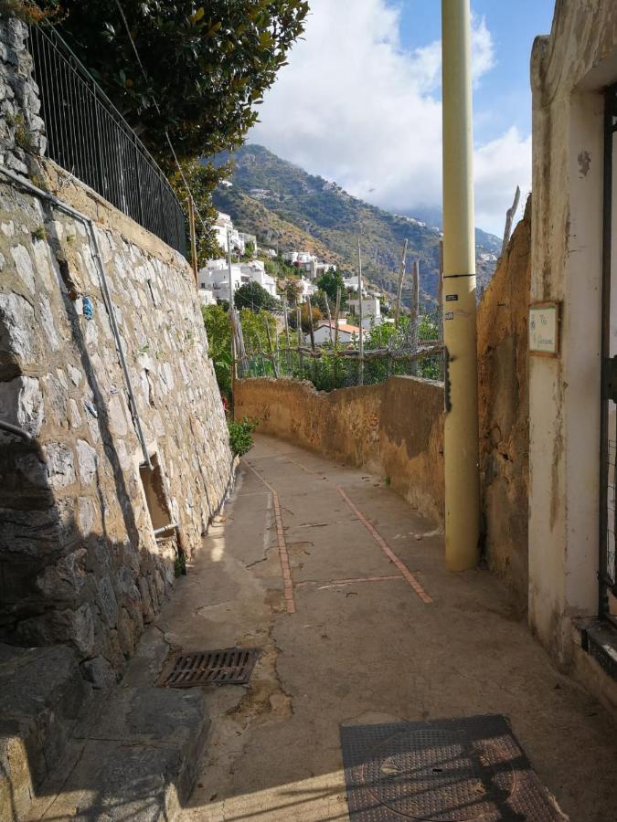 Casa I Girasoli Praiano Εξωτερικό φωτογραφία